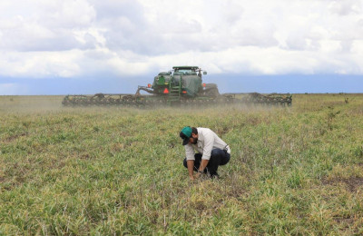 Cerrado piauiense registra um aumento de quase 10% da área plantada com soja